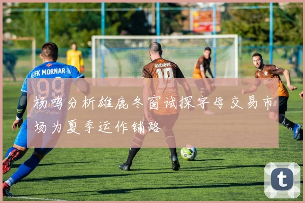 杨鸣分析雄鹿冬窗试探字母交易市场为夏季运作铺路